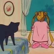 りの画像