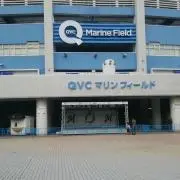 Mカモメの画像