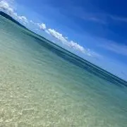 プー太郎