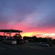 ♡ハイビスカス♡