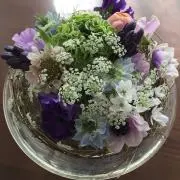 星☆波☆*:.。.の画像