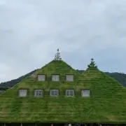 MTの画像