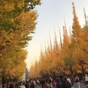 はま
