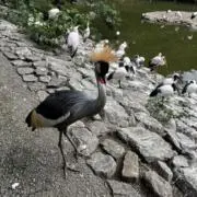 みち