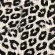 ヒョウの画像