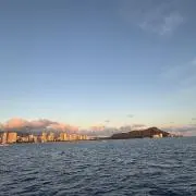 みょんの画像