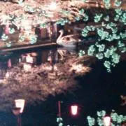 さあやの画像