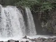 Image of hana-co