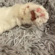 mの画像