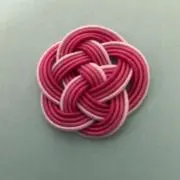 タッシーの画像