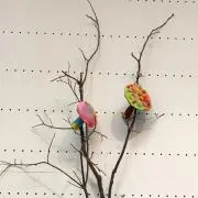 みつきの画像