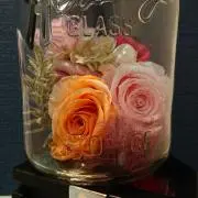 rimの画像