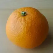 ミカンの画像