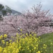 konoka 【値下げお気軽にどうぞ】の画像