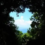 ytnjの画像