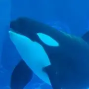 モカ☆プロフお読み下さい☆