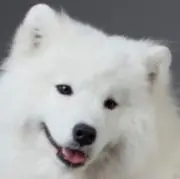 ぬの画像