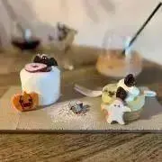 【SALE中】Uちゃんの画像