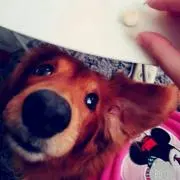 はみゆ*°