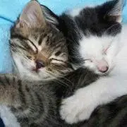 ♡♥まいまい♡♥の画像