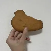 えりりの画像