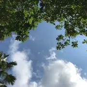 N_M501の画像