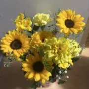kちゃんの画像