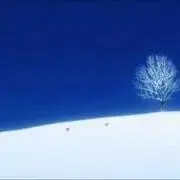 meeの画像