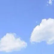 せいか