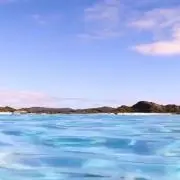 まある