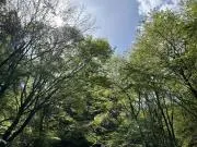 M☆断捨離中の画像