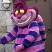 ミッキー☆プロフ必読の画像