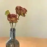 ゆうか☆の画像