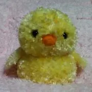 ぴよこ★プロフ読んでください(^^)