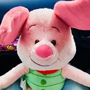 ぴぐれったの画像