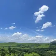 たかぼー