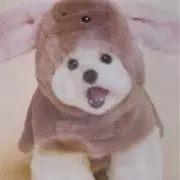 蒼の画像