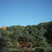 まるの画像