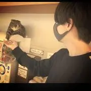 Taichi
