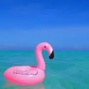 みいちゃん