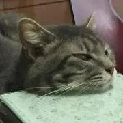 温暖化