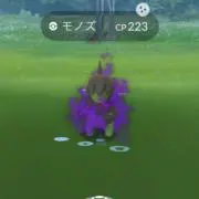 MTの画像