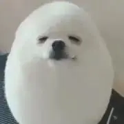 らりるれろーん★の画像