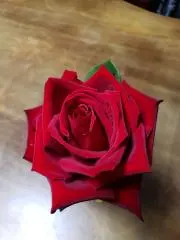ぬK