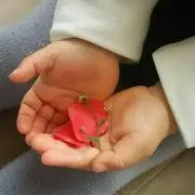 なーちゃん