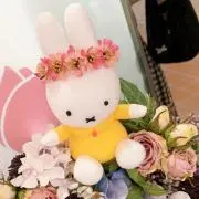 たまみん