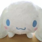 Rの画像