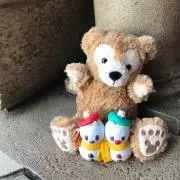 yuki★プロフ確認要★