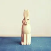 kittenの画像
