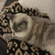 uの画像